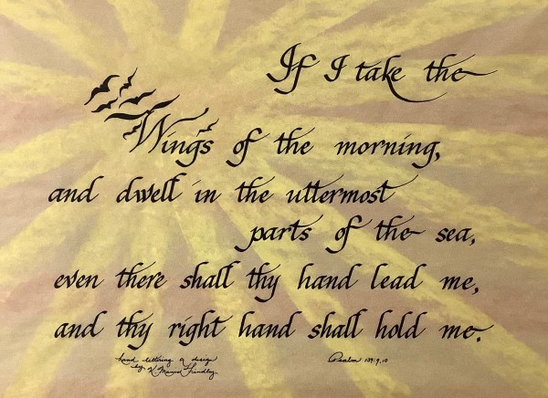 1A7BABBD-923C-4C7C-B09B-E0C855122CA9