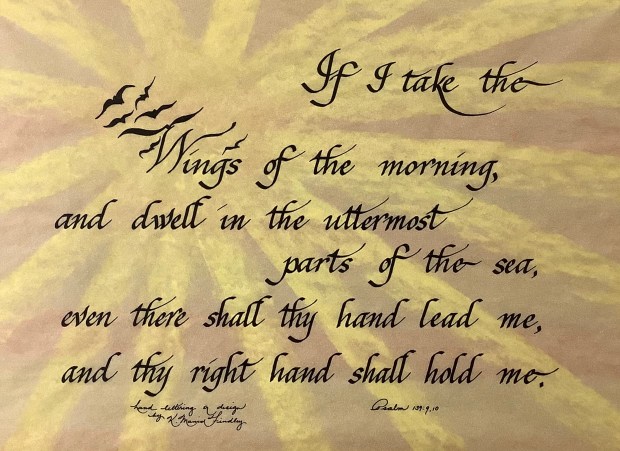 1A7BABBD-923C-4C7C-B09B-E0C855122CA9